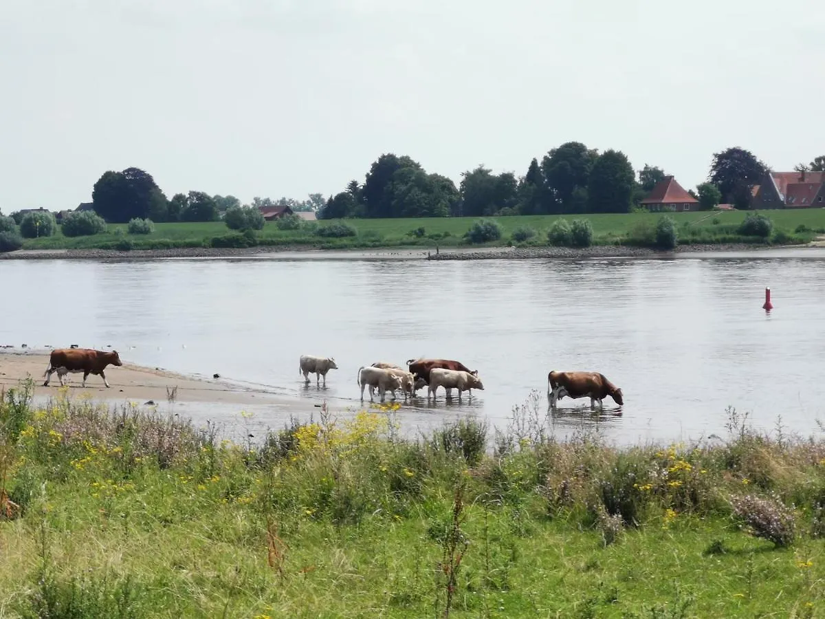 Haus Am Deich 47 Stilvolles Landhaus An Der Elbe In Stadtnaehe Hamburk Německo