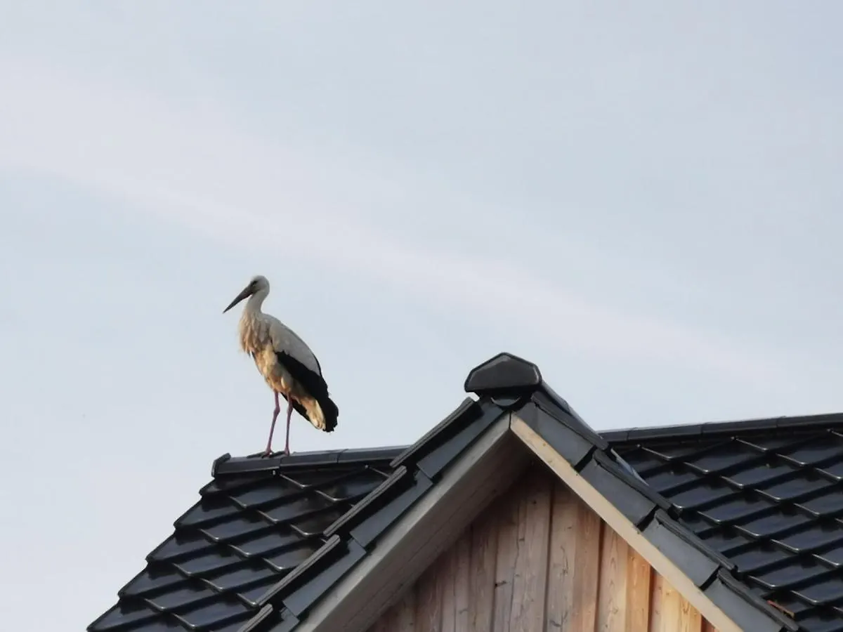 Prázdninový dům Haus Am Deich 47 Stilvolles Landhaus An Der Elbe In Stadtnaehe Hamburk